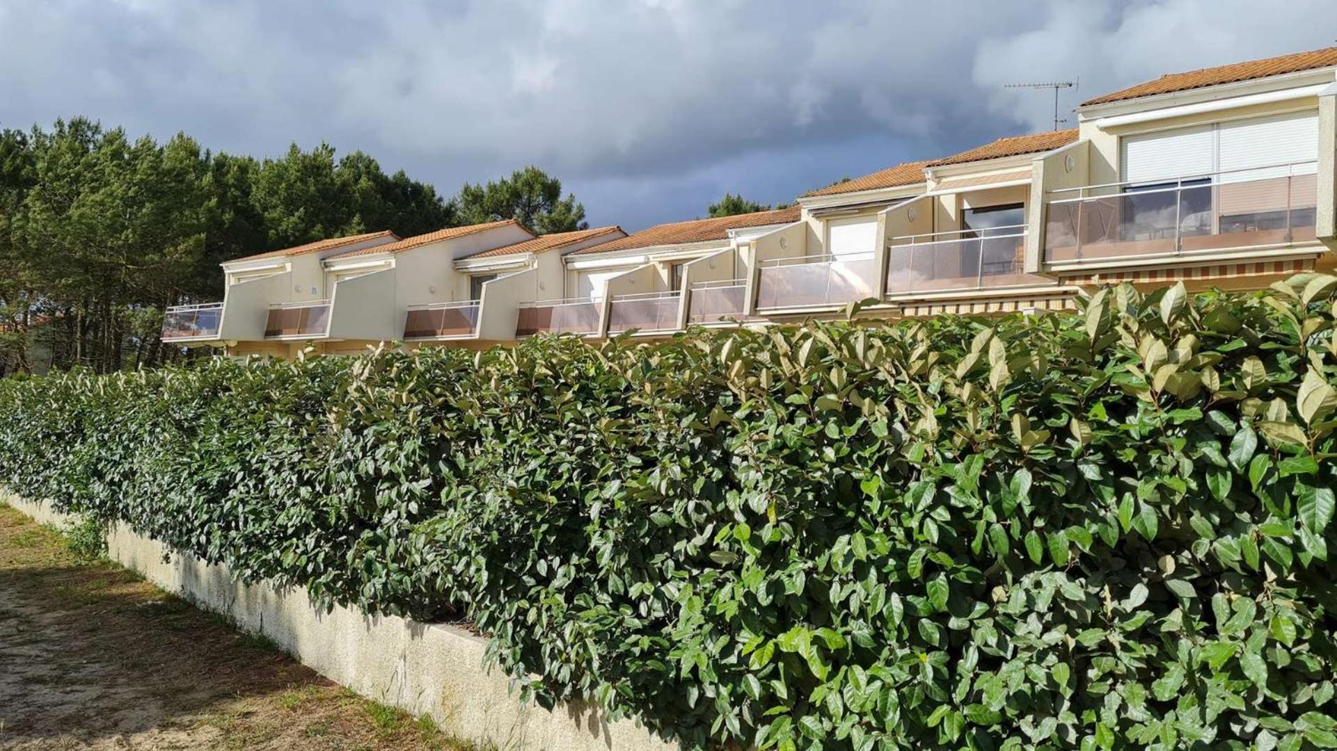 Saint Georges De Didonne - Vue Mer Pour Ce Studio Cosy En Rez-De-Chaussee Eksteriør bilde
